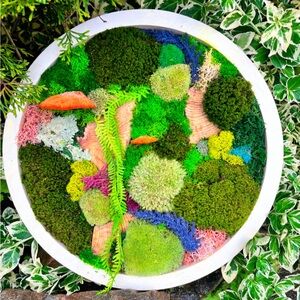 Vibrant Moss art arrangement set in a wooden round frame